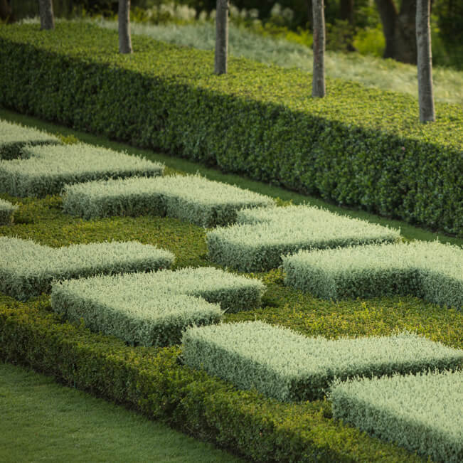 5b5f2efd3738e-Architecture - Franchesca Watson03